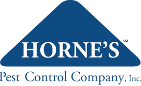 hornes pest control